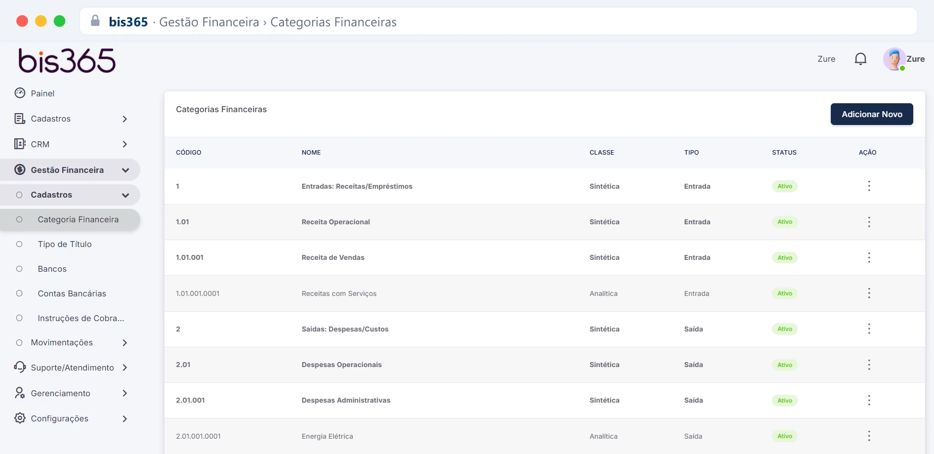 Plano de categorias financeiras sintéticas e analíticas na BIS365